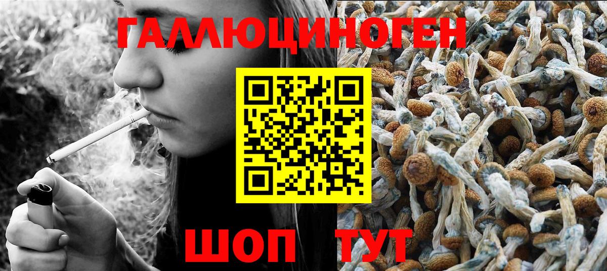 Коряжма  Псилоцибиновые грибы прущие грибы  Вход с VPN 
