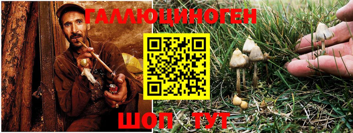 Псилоцибиновые грибы Magic Shrooms Коряжма